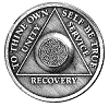 Recovery Chip Image